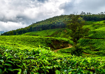 Meesapulimala Trek