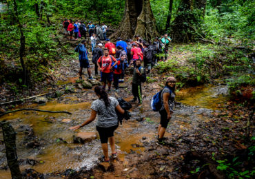 Kodachadri Trek