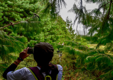 Meesapulimala Trek