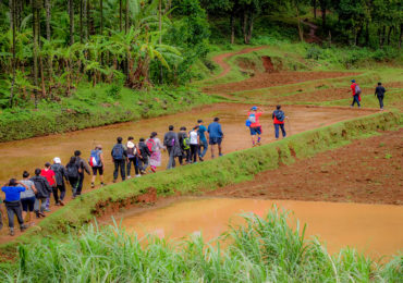 Kodachadri Trek