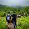 Tadiandamol trek – Coorg – Nature Walkers-8