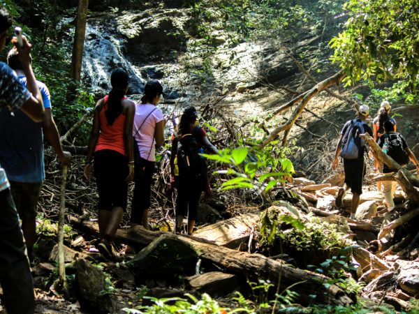 nature walkers kodachadri