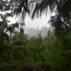 MEESAPULIMALA TREK & FOREST CAMPING