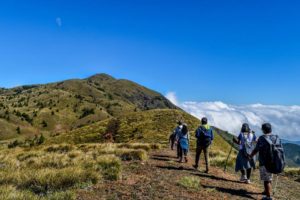 Meesapulimala Trek