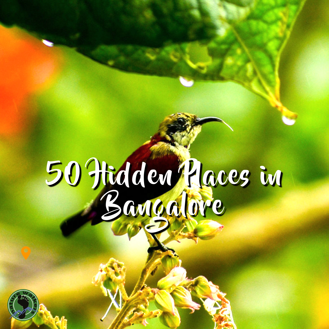 hidden places in bangalore